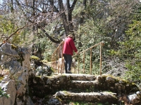 Les Nougieres - 31 mars